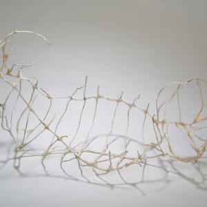 Gobi by Deborah Benioff Friedman 