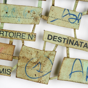 Altera by Deborah Benioff Friedman 