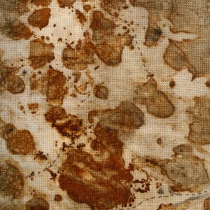 Trace Elements II by Deborah Benioff Friedman 