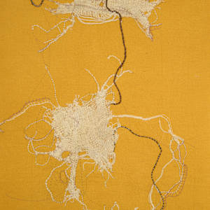 Symbiosis by Deborah Benioff Friedman 