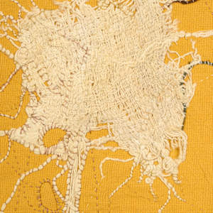 Symbiosis by Deborah Benioff Friedman 