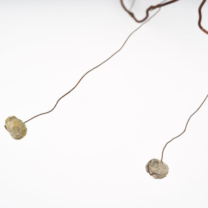 Crossfire by Deborah Benioff Friedman 