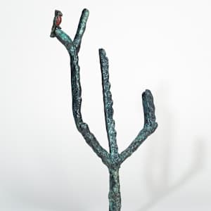 Avis Cactum by Gina Michaels