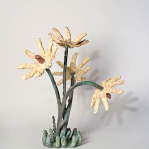 Oxeye Digitorum by Gina Michaels