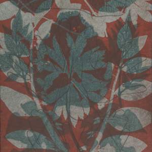 Tara Impression 1 by Gina Michaels, Image 1.