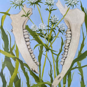 Deer Jaw, Rattlesnake Master by Rachel Clegg