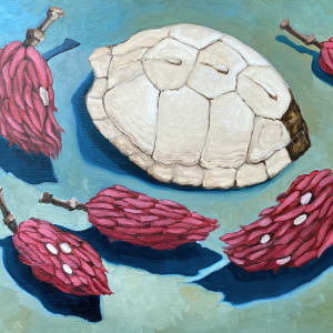 Turtle Shell, Mtn. Magnolia Seed Pods by Rachel Clegg