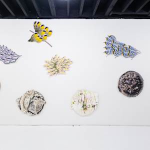 Queer Ecologies by Zulu Padilla