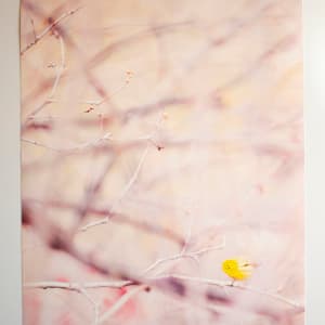 Pink, Birds and Samadhi 4/69 by Zulu Padilla