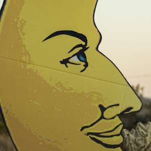 Paper Moon, Joshua Tree by Kris Davidson