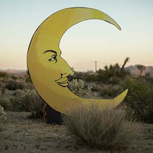 Paper Moon, Joshua Tree by Kris Davidson