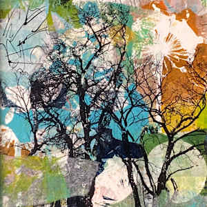 Lunar Quiet by Clare Hogan