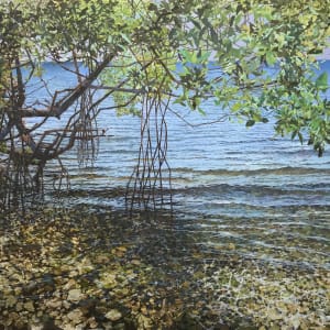 Mangrove Shadow by Bruce Marsh