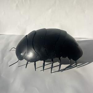 Pill Bug by Mina Koonz