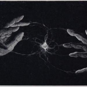 Genesis by Isaiah Rivera