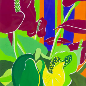 Anthurium Color Schemes by A. Evans