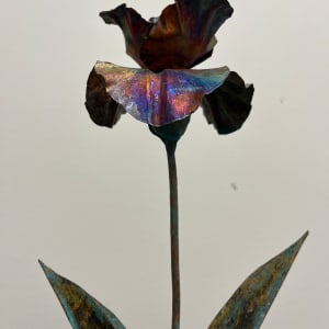 Copper Iris by Mary Jo Emrick