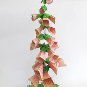 Foxglove by Jennifer Scheuer