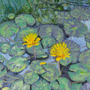 Zilker Water Lilies by Laura Hunter