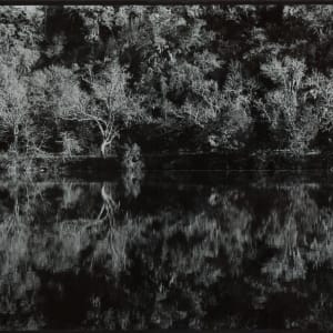 Reflection on Lake Austin by Carolyn Mellon