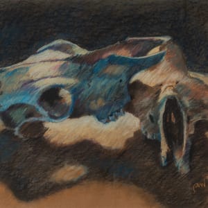 Skulls by Rebecca Wood