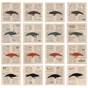 Farm Knowledge by Louise Laplante