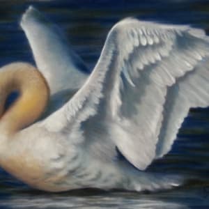 Wing Song by Patsy Ruth Kroeckel