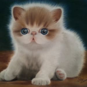 Puff by Patsy Ruth Kroeckel