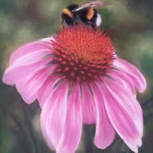 Buzz by Patsy Ruth Kroeckel