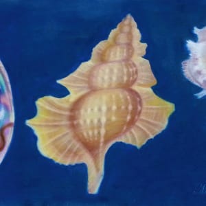 Treasures of the Sea by Patsy Ruth Kroeckel