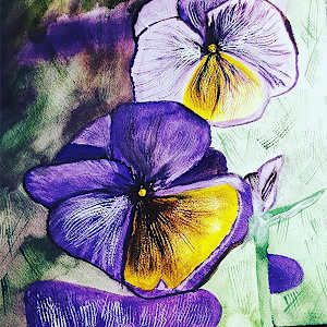 Garden Pansies by Sheila Gambino