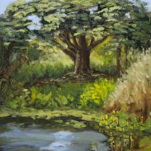 Mounts Pond by Santiago Perez