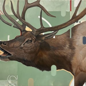 call of the wild by bryan holland arts