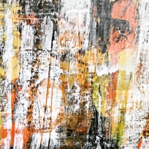 If a Tree Falls by David J. Marchi 