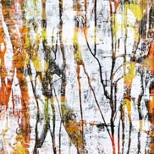 If a Tree Falls by David J. Marchi 