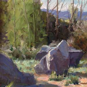 A Boulder Image by Howard B Friedland