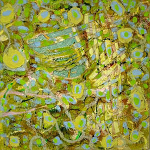 Lichen Splash by GG Stankiewicz