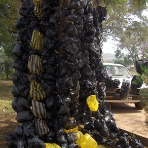 About Black (From the Bag Wall Series) by Amarachi Okafor (Orie)