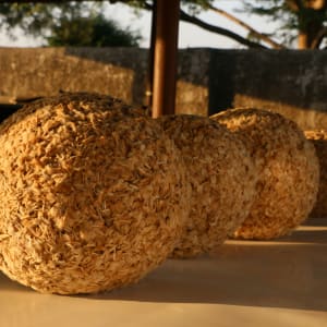 Anya-‘ri Umunne by Amarachi Okafor (Orie)