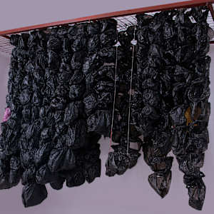 Cashless Society Bags (About Black and the Bag Wall Series) by Amarachi Okafor (Orie) 