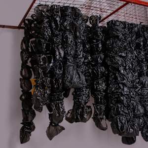 Cashless Society Bags (About Black and the Bag Wall Series) by Amarachi Okafor (Orie) 