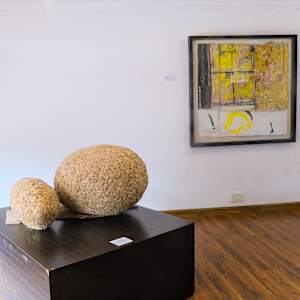 Bright Room: Illuminate by Amarachi Okafor (Orie) 