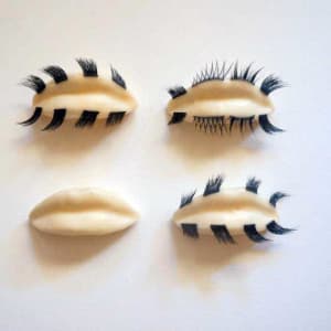 Lip Bugs