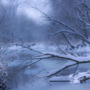 Snowy River Blues by Mary Jo Adams 