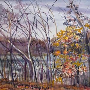Overlooking the Potomac by Ann Schaefer