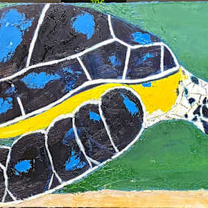 Sea Turtle by Jim Hoehn