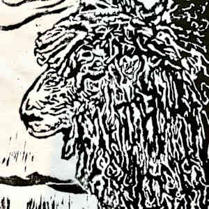 Winter Sheep by Jamie Downs