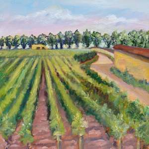 Burgundy Vineyard by Barbara Mandel