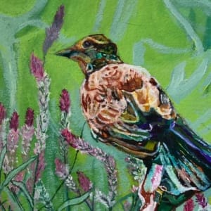 Thrush in the Meadow by Jamie Downs