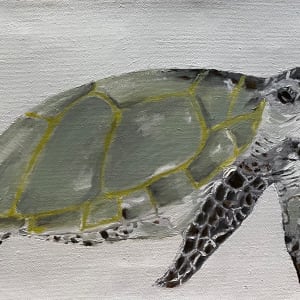 Hawaiian Turtle by Jim Hoehn